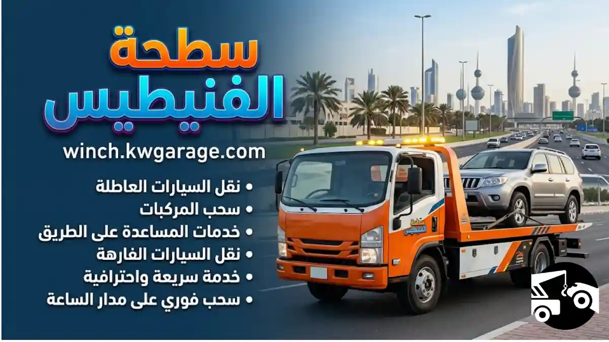خبير سطحه الفنيطيس